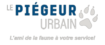 Le piégeur urbain